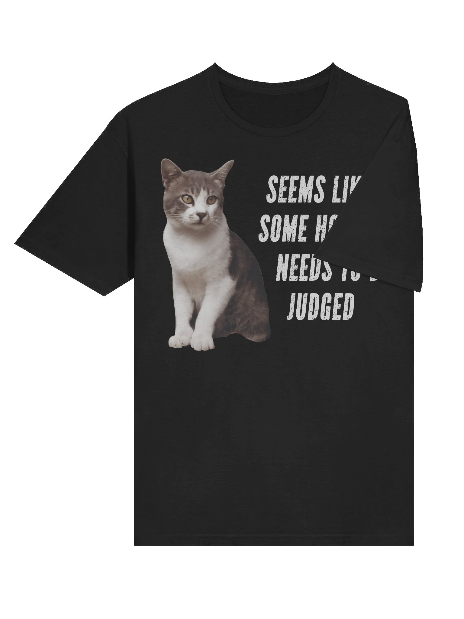 Some Hooman Needs To Be Judged T-Shirt product image (33)