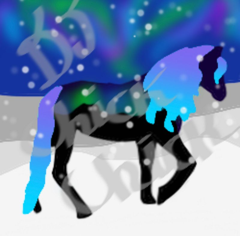 WHI Digital Drawings-Northern Lights Andalusian