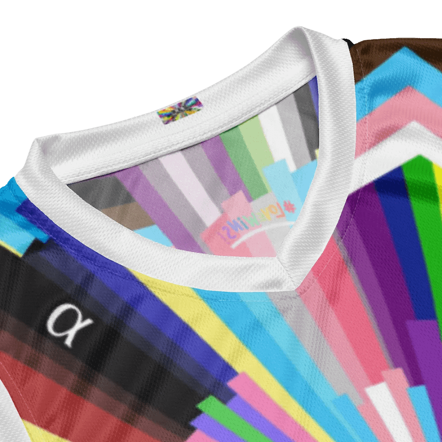 Pride has no boundaries Jersey product image (8)