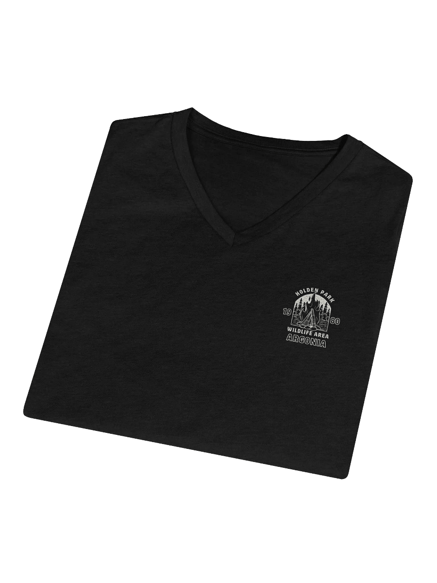 Wilderness Vibe Relaxed V-Neck Tee product image (31)