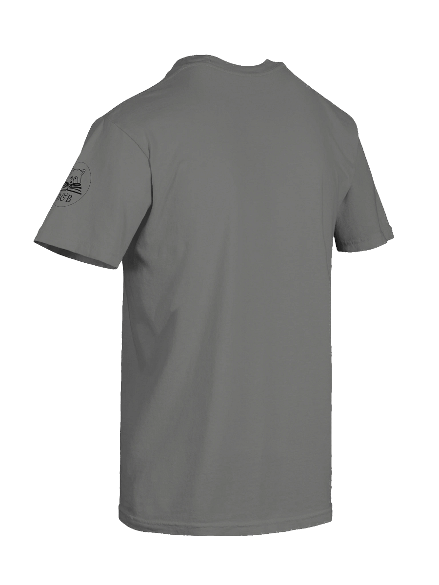 "Coffee Icy, Books Spicy" Comfort Tee product image (10)