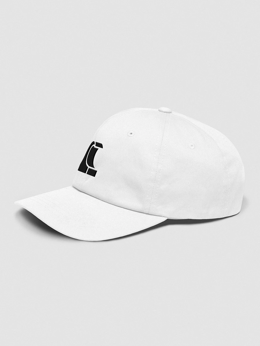 Wavetro Logo Hat (White) product image (3)