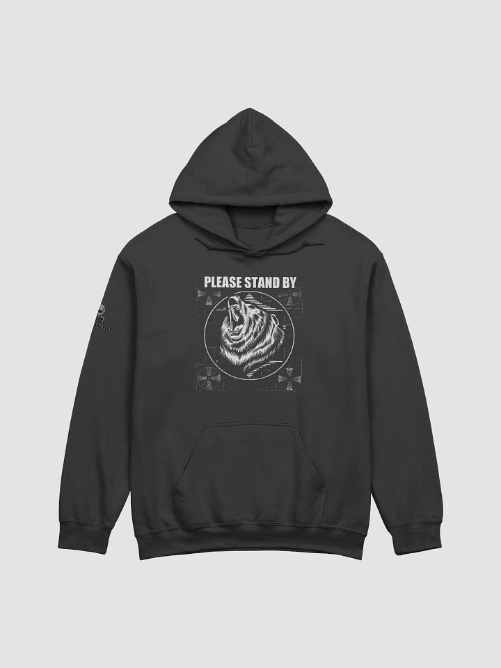 Please Stand By - Hoodie product image (8)