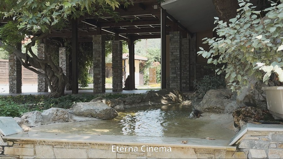 Fujify [Apple Log] 3D LUTs product image (6)