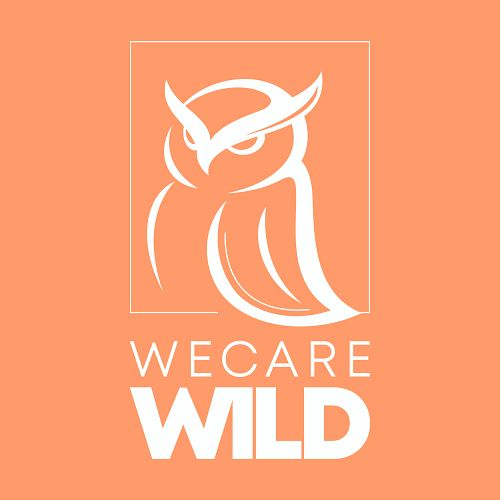 🎉 Exciting News! 🎉 We are thrilled to announce that We Care Wild has officially received our IRS determination letter and are...