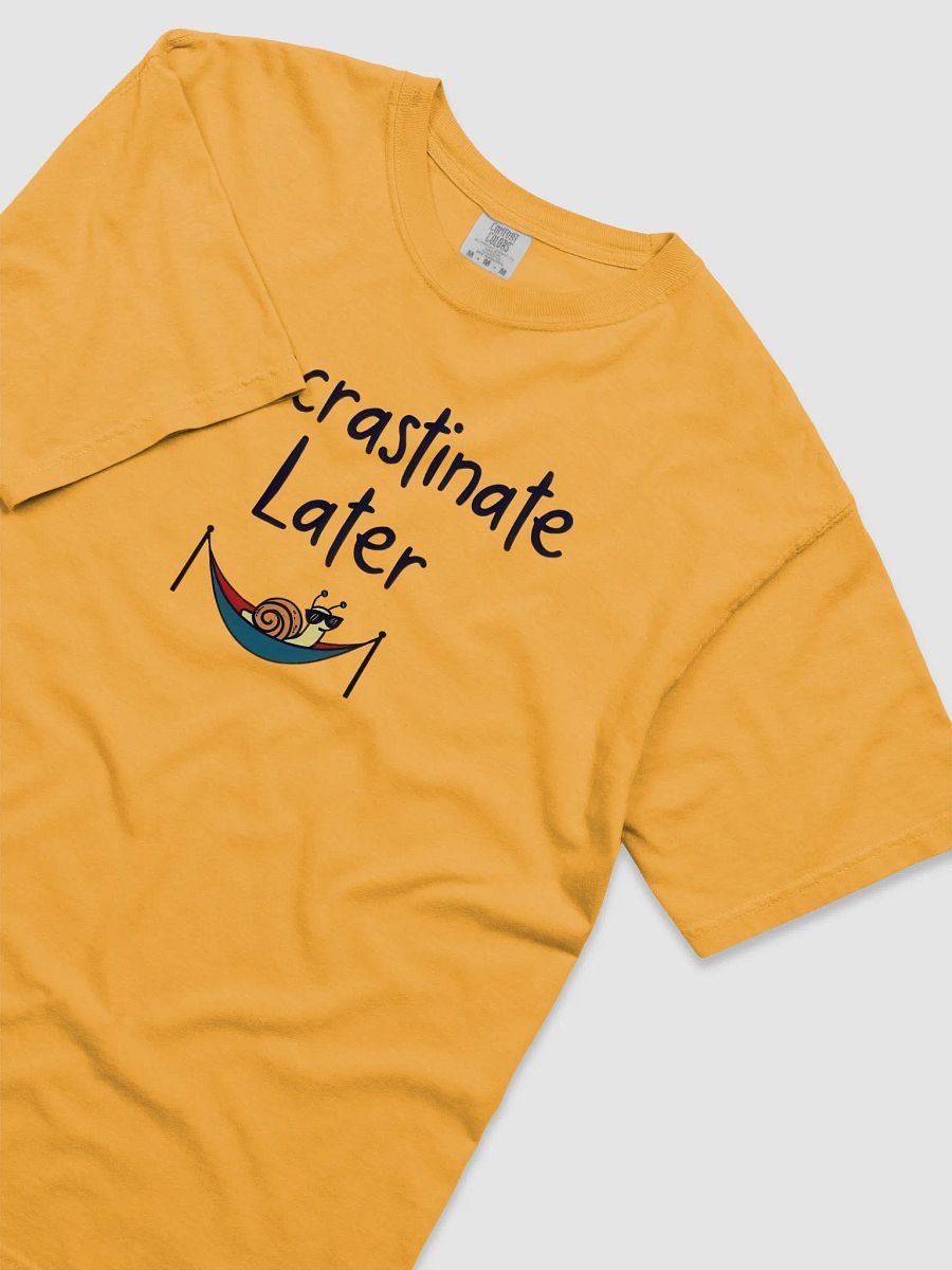 Chillaxing Snail 'Procrastinate Later' Tee product image (2)