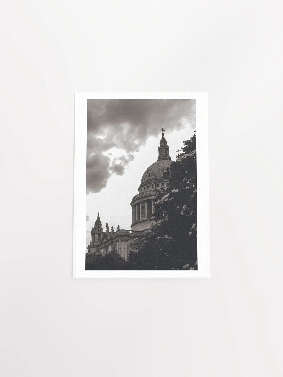 Flowers of St. Paul - Black & White / Print product image (32)
