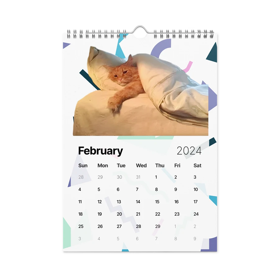 Wall Calendar (2024): Meme Cats product image (7)