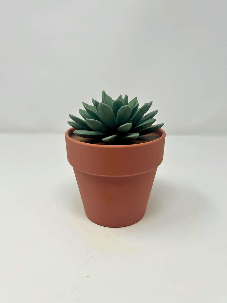 Push Pin Succulent (3D Printed) product image (3)
