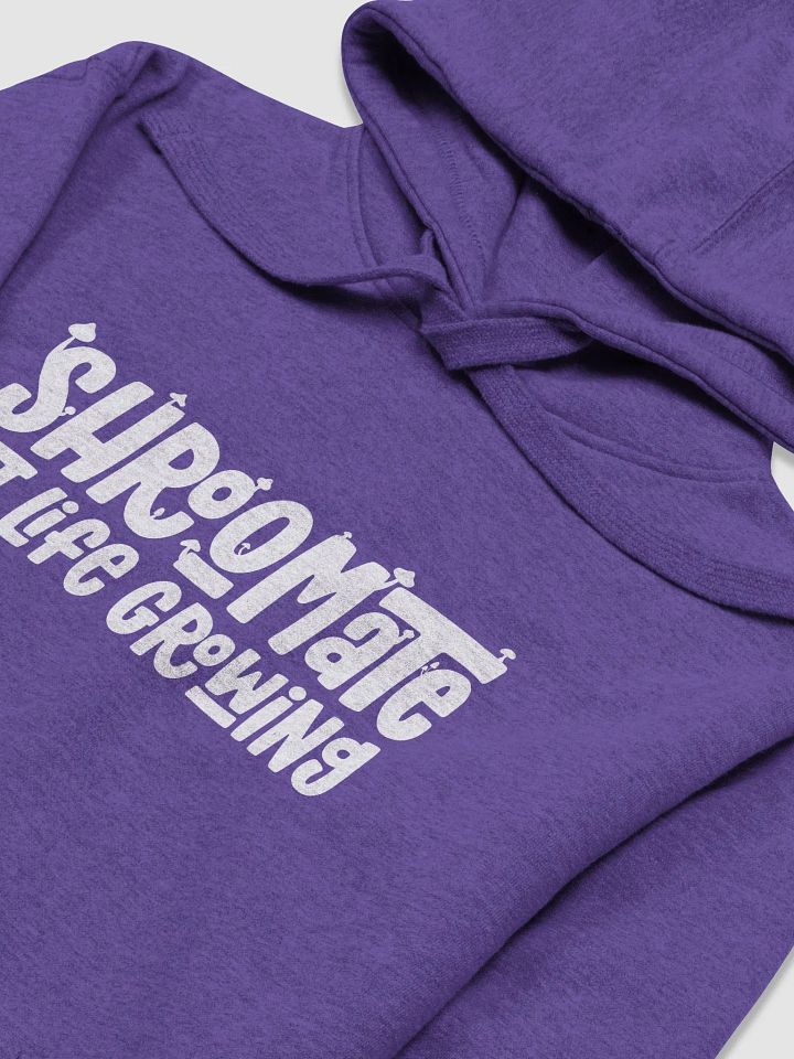 Classic Brand Hoodie product image (2)