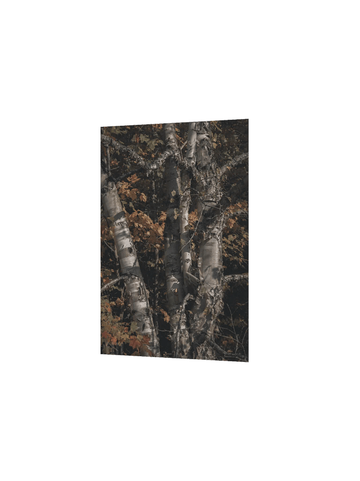 Elec Aspen product image (4)
