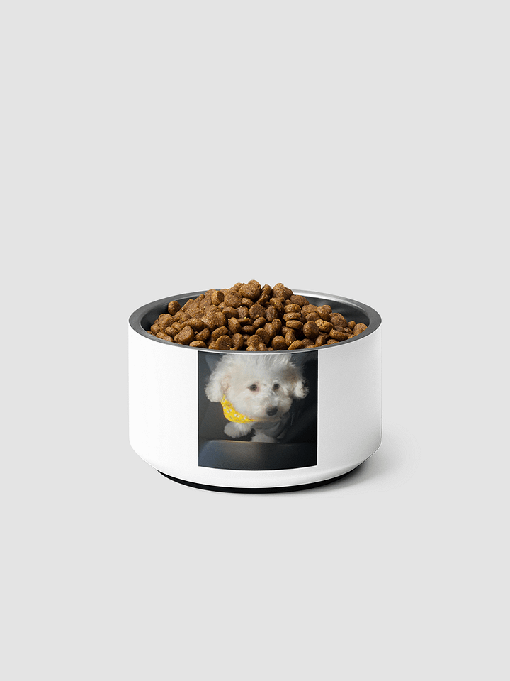 [junito_gaming] Pet Bowl product image (2)