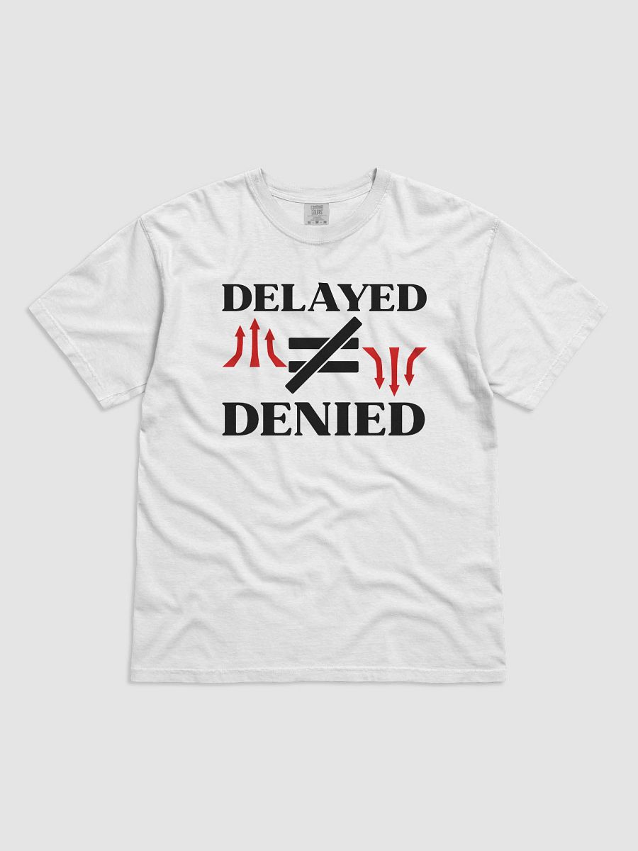 Delayed Not Denied Comfort Color T-shirt. product image (20)