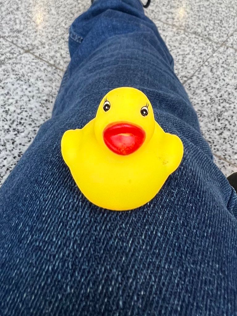 [EXCLUSIVE] Chipstarr Duck product image (4)
