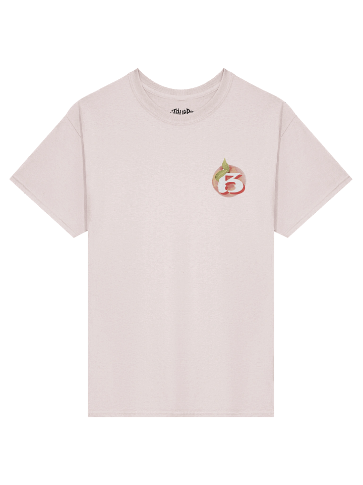 Breach Alpharetta Peach Tee (Light) product image (1)