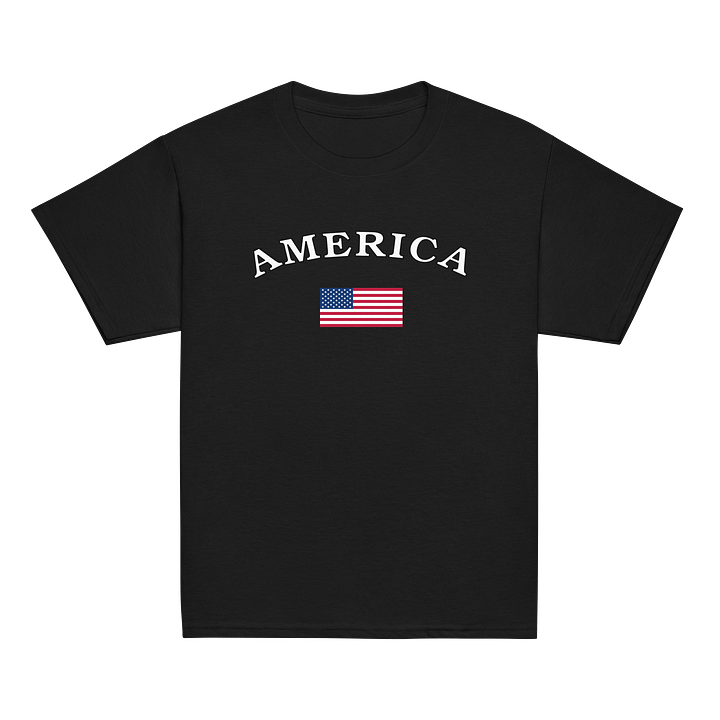 Gildan Youth Classic Tee-America product image (7)