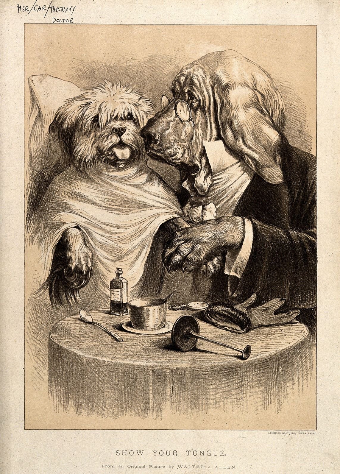Vintage Art Download - WJ Allen, A Doctor Examining His Patient Bloodhound with Terrier, Lithograph product image (1)