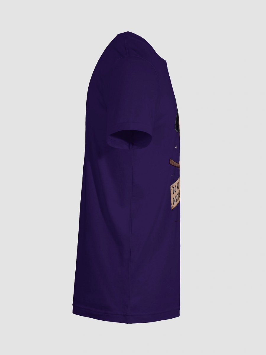 Snoozy Witch Broomstick T-Shirt product image (124)