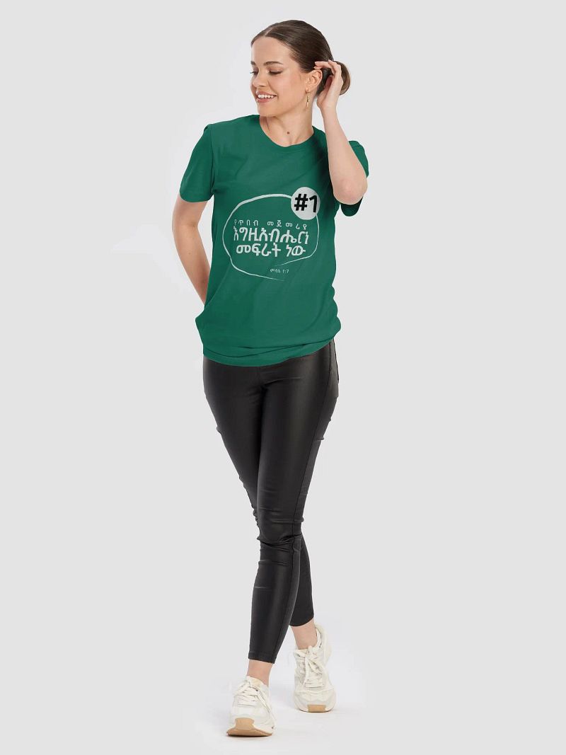 'Proverbs 1:7' T-shirt