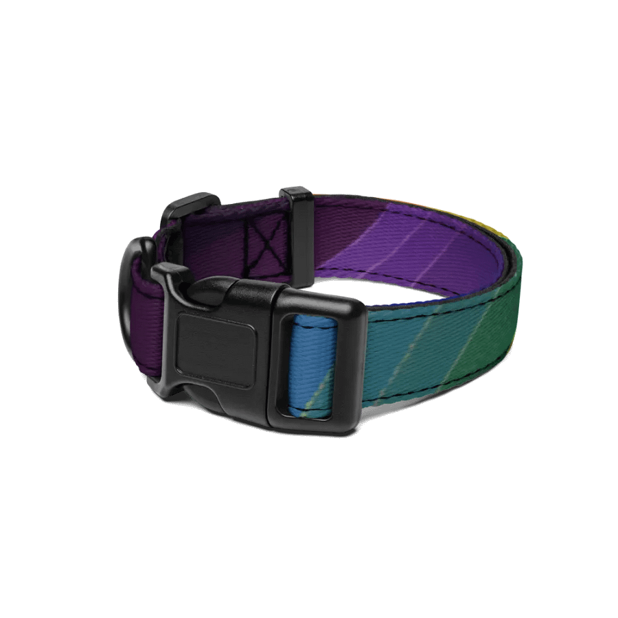 Rainbow Dog Collar product image (1)