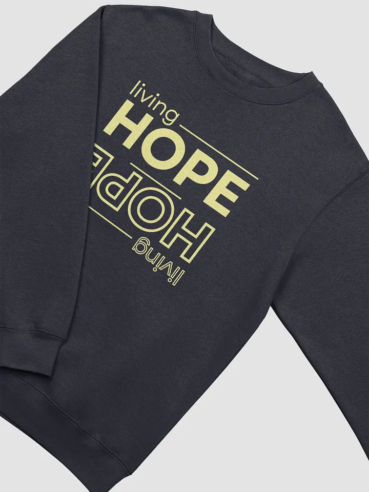 Mirrored Living Hope Crewneck Sweatshirt product image (13)