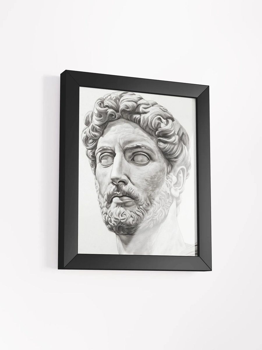Cultural Vanguard: The Reflective Bust of Emperor Hadrian product image (1)