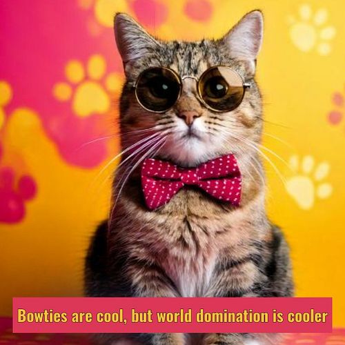 Stylish, sassy, and a little world-domination on the side—this cat's got Catitude! Perfect for anyone who knows their kitty i...