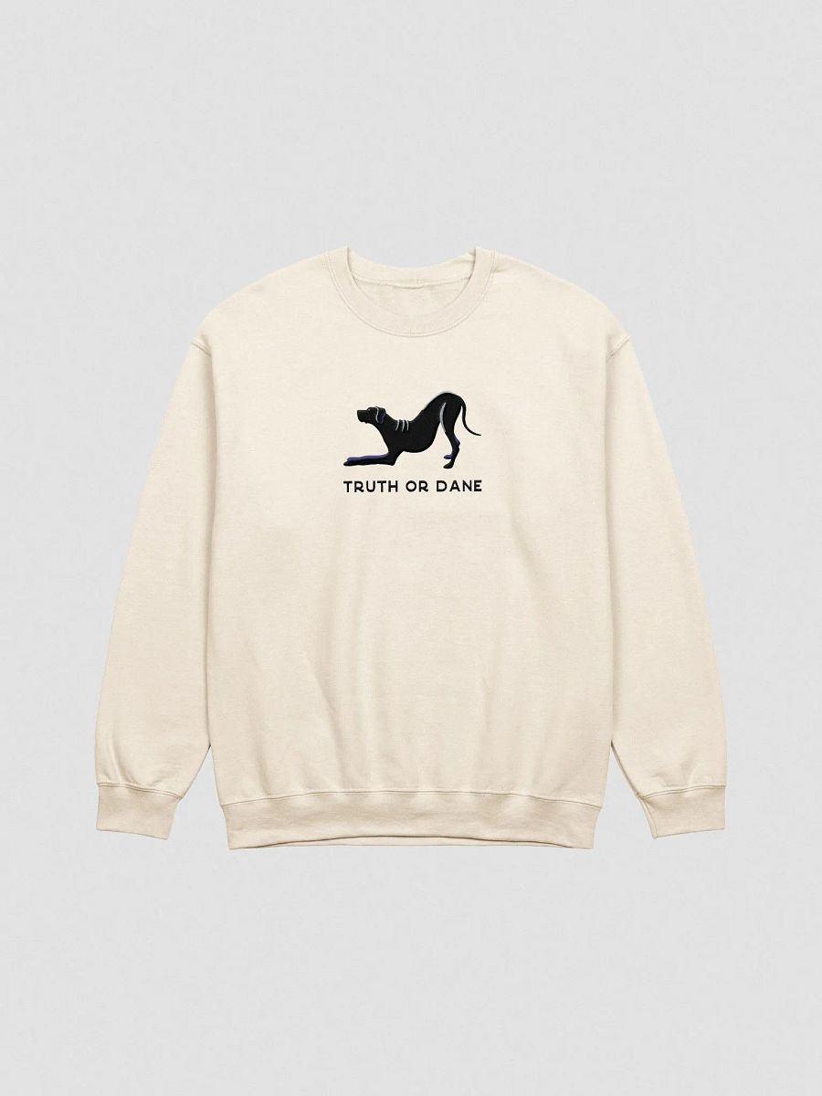 Truth or Dane Sweatshirt (Embroidered) of a Great Dane(Black) product image (4)