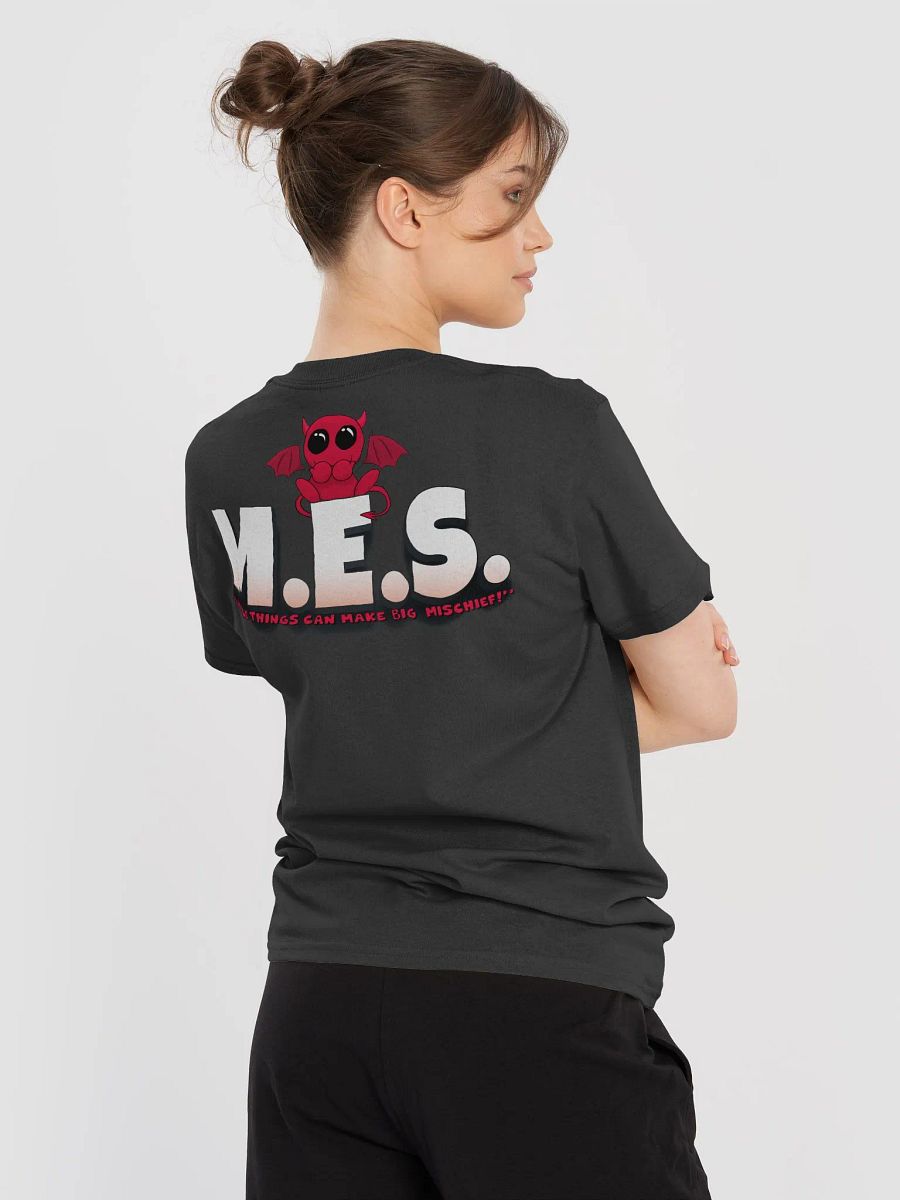 Little Things - Heavyweight Tee product image (6)
