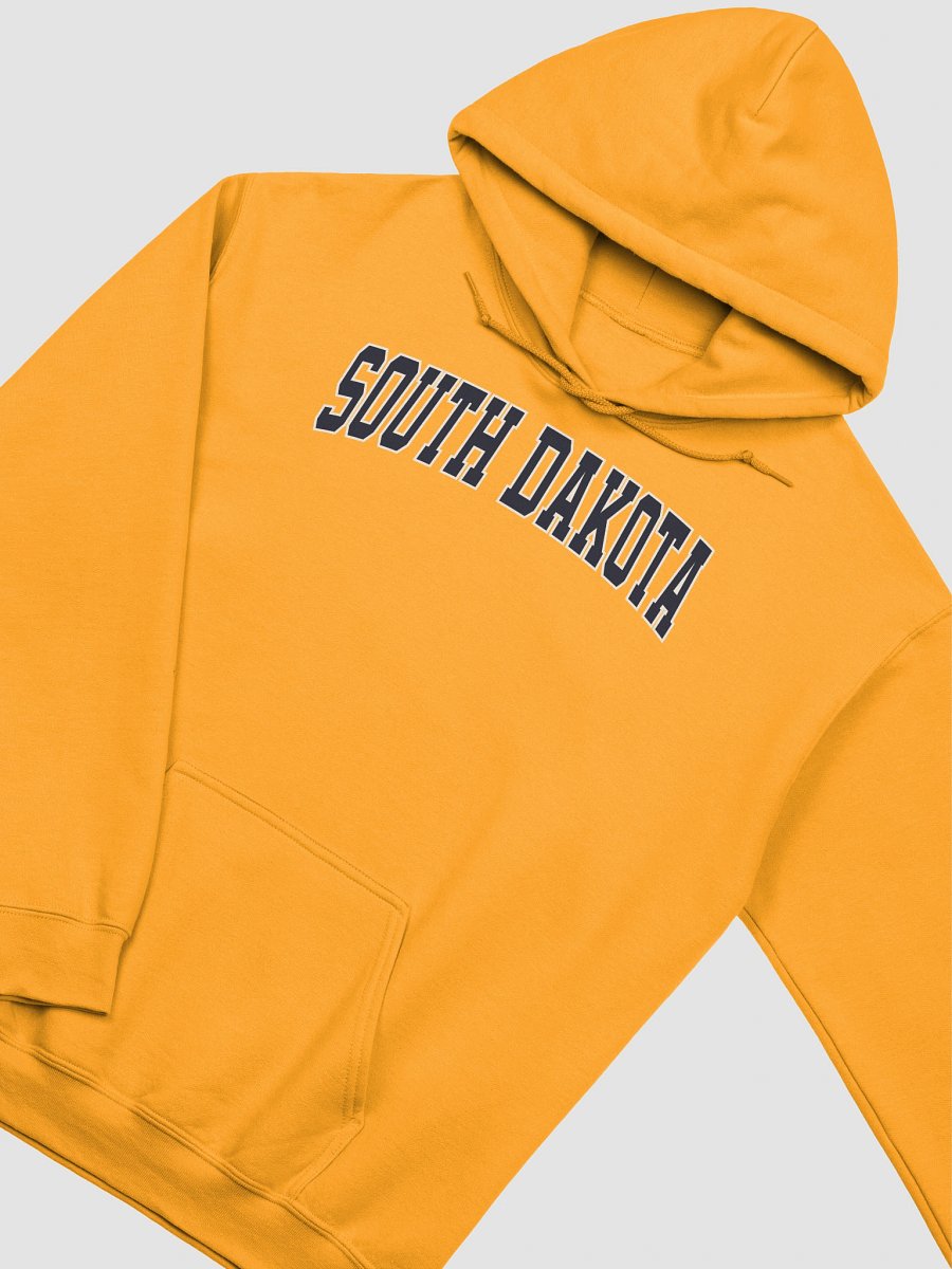 South Dakota Vintage Varsity Classic Hoodie product image (10)