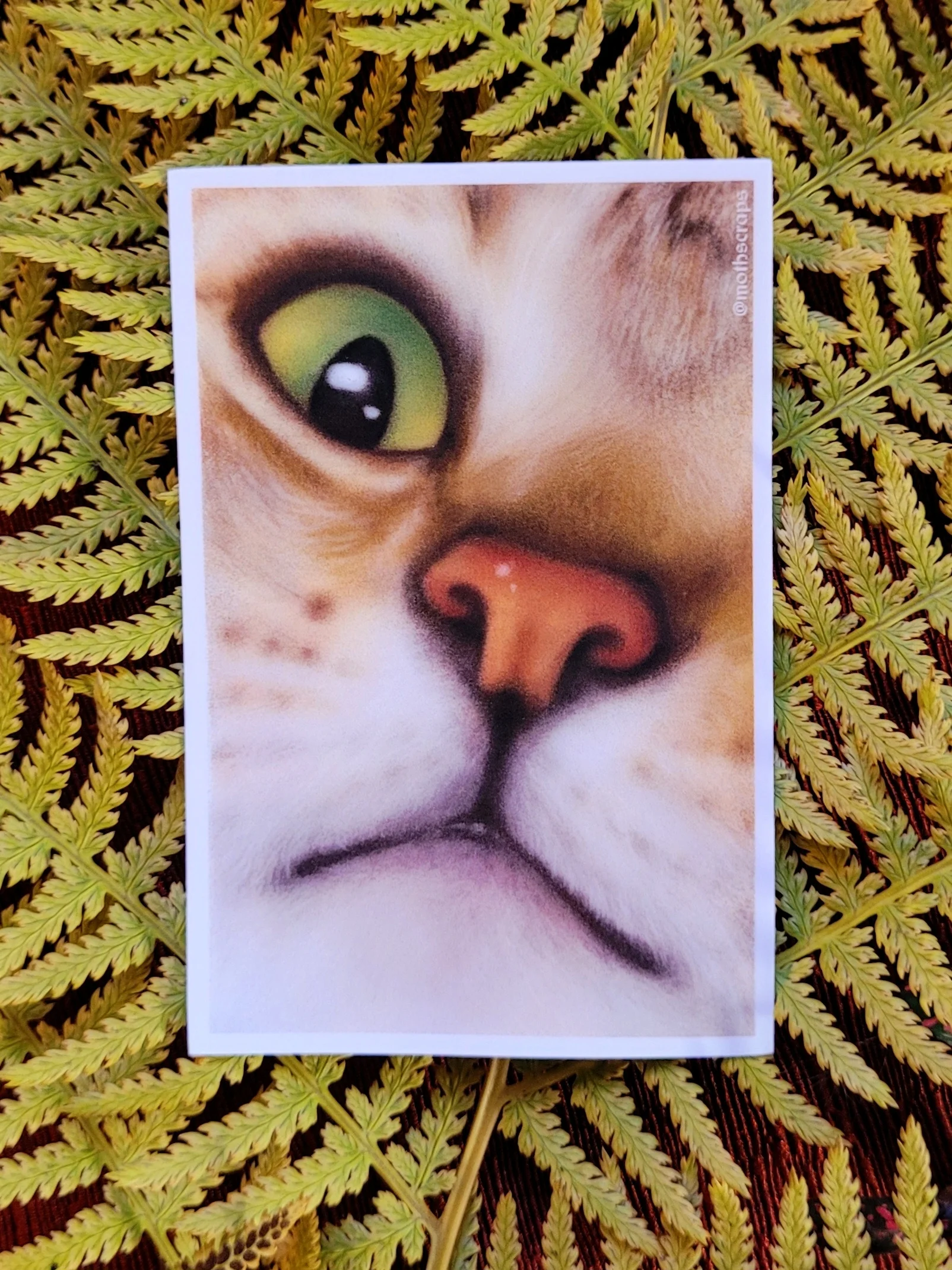 Big Cat Face Sticker product image (1)