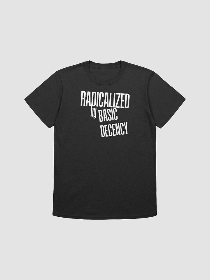 Radicalized by Basic Decency - Empowering Activism Graphic Statement Tee product image (4)
