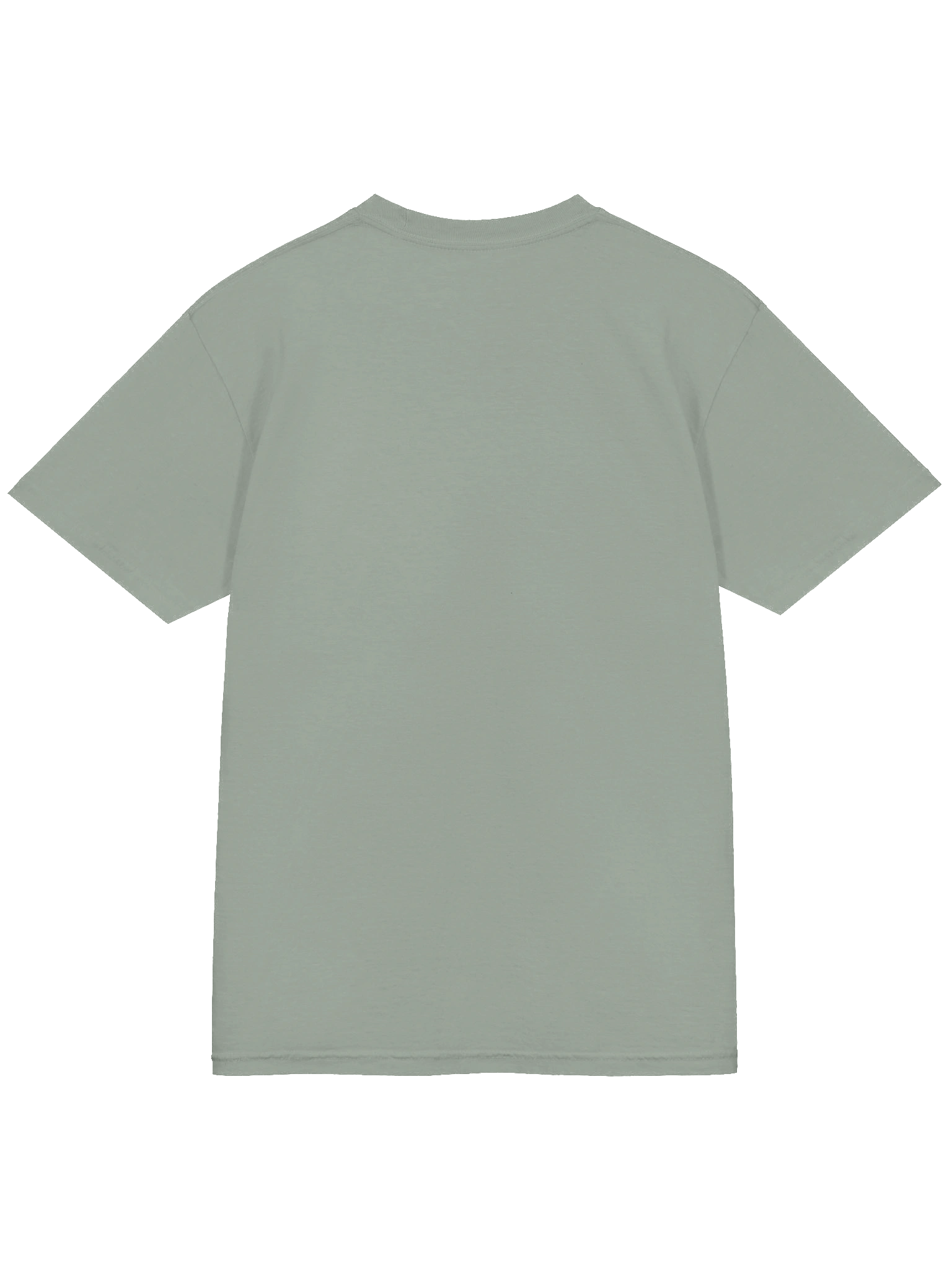 Sandstone & Stick - Be the Beaver T-shirt product image (34)