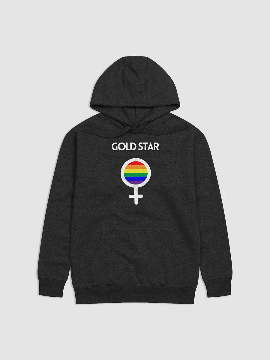 LGBTQ+ Gold Star Hoodie (dark) product image (1)