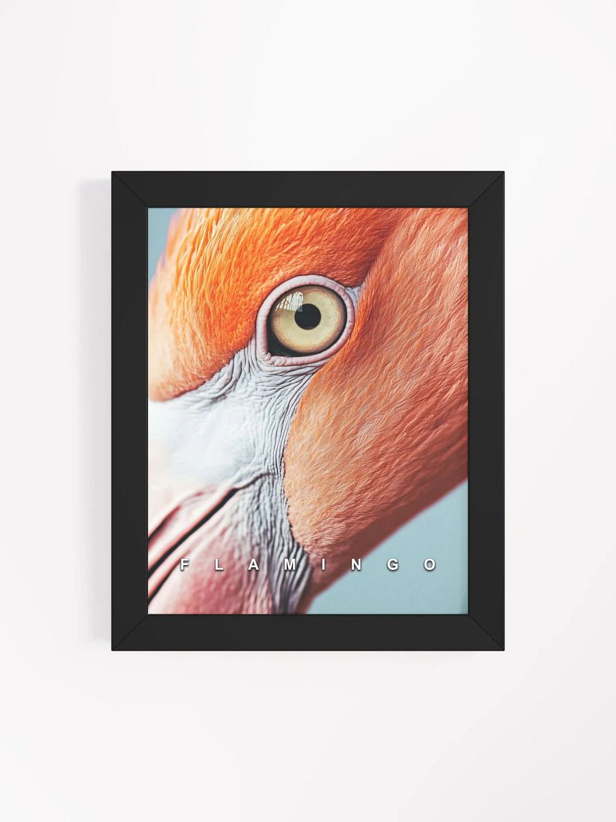 Flamingo's Eye Matte Poster product image (41)