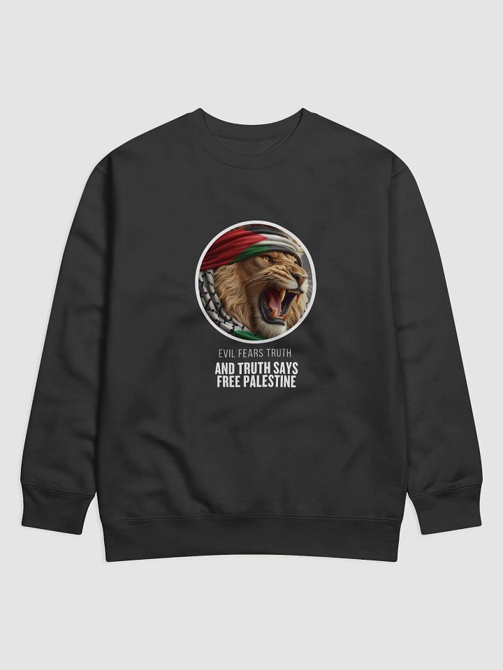Midnight Black Premium Sweatshirt | evil fears truth and truth says free palestina product image (5)