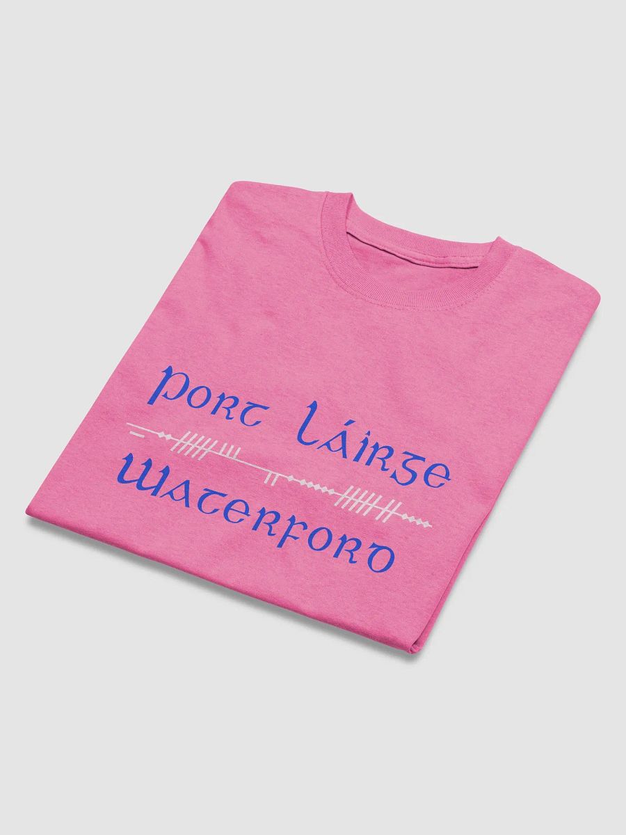 Waterford/Port Láirge Scholastic style Ogham Printed T-shirt product image (4)