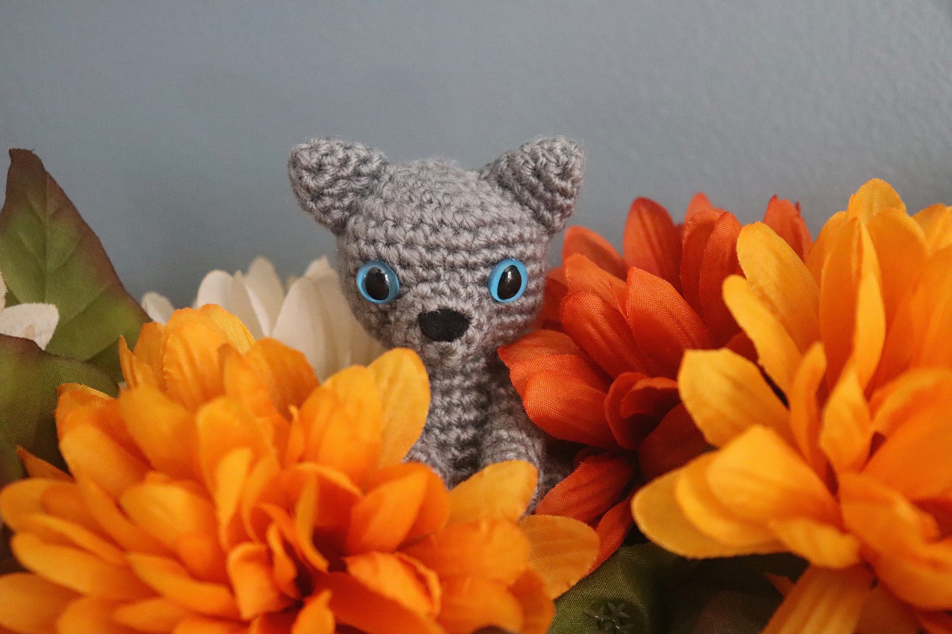 Spice the Cat PDF product image (3)