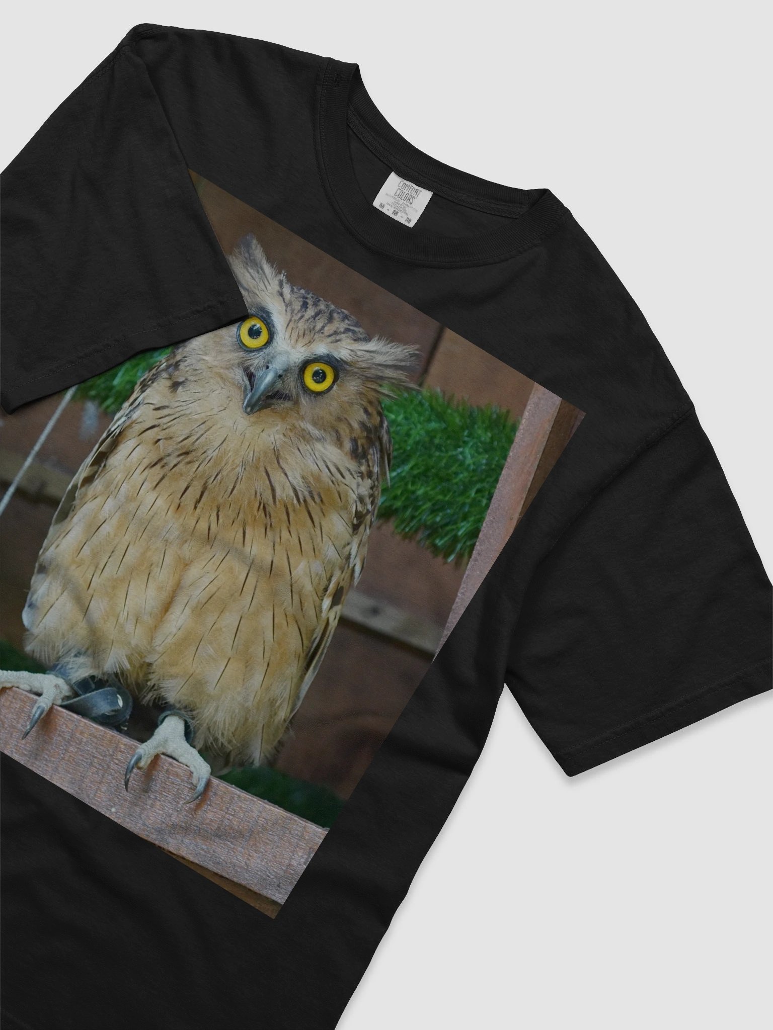 Owl Eyes Comfort Tee product image (3)