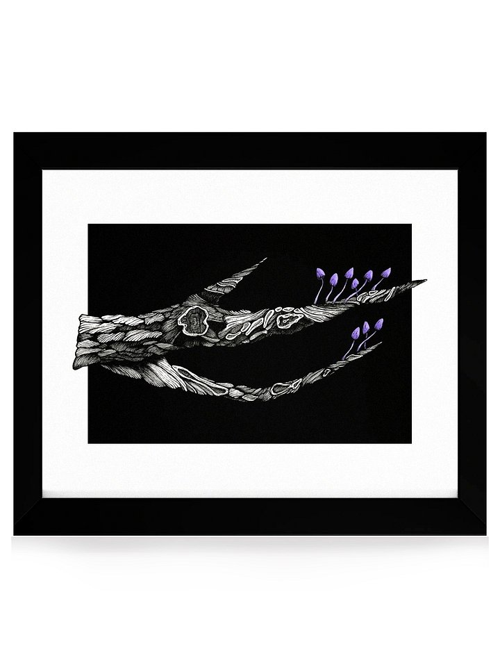 Old Growth - Framed Print product image (1)