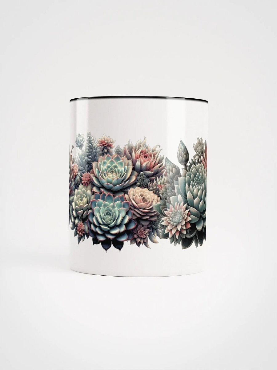 Succulents couleur/color product image (6)