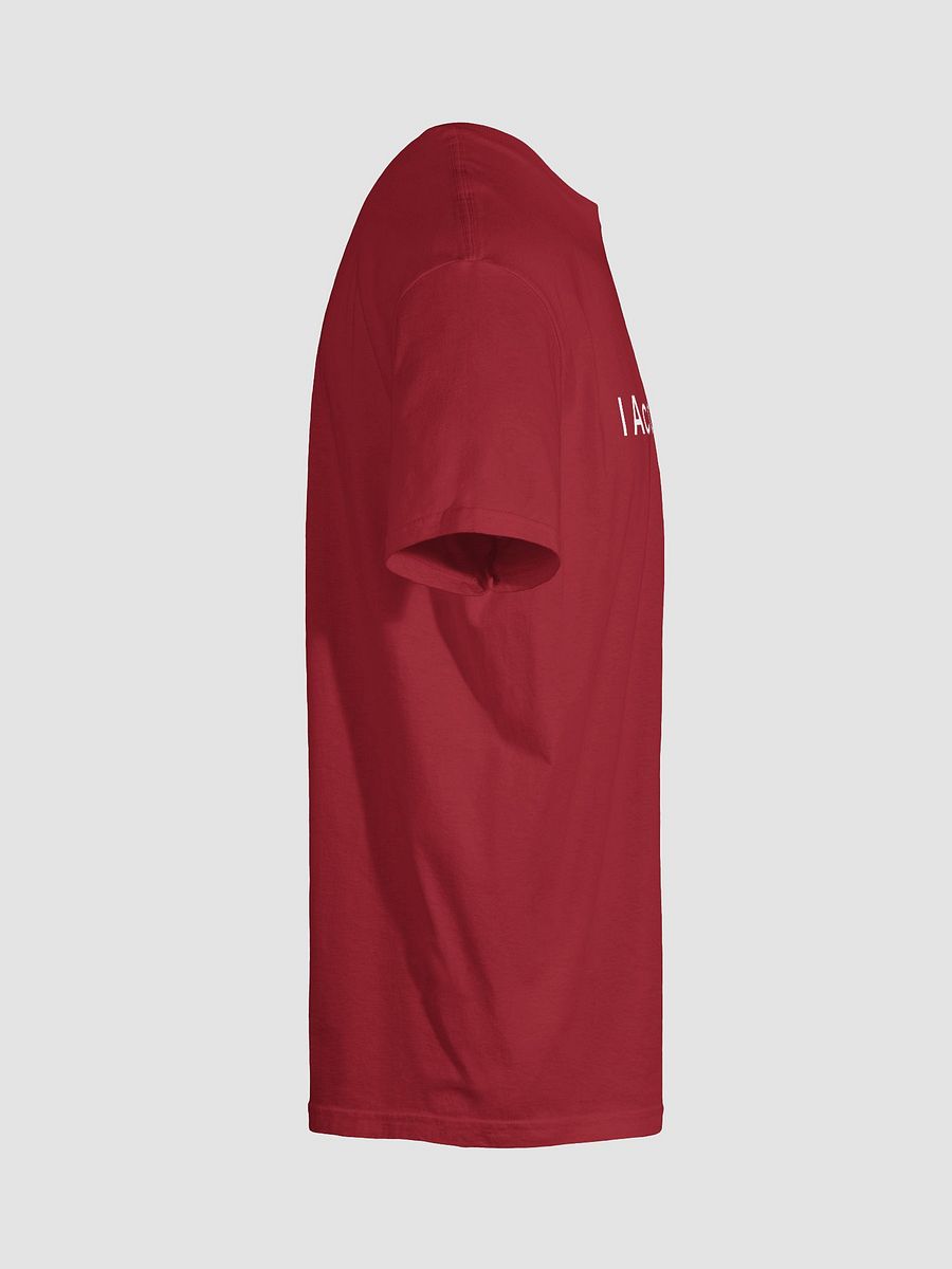 I Accept You product image (10)