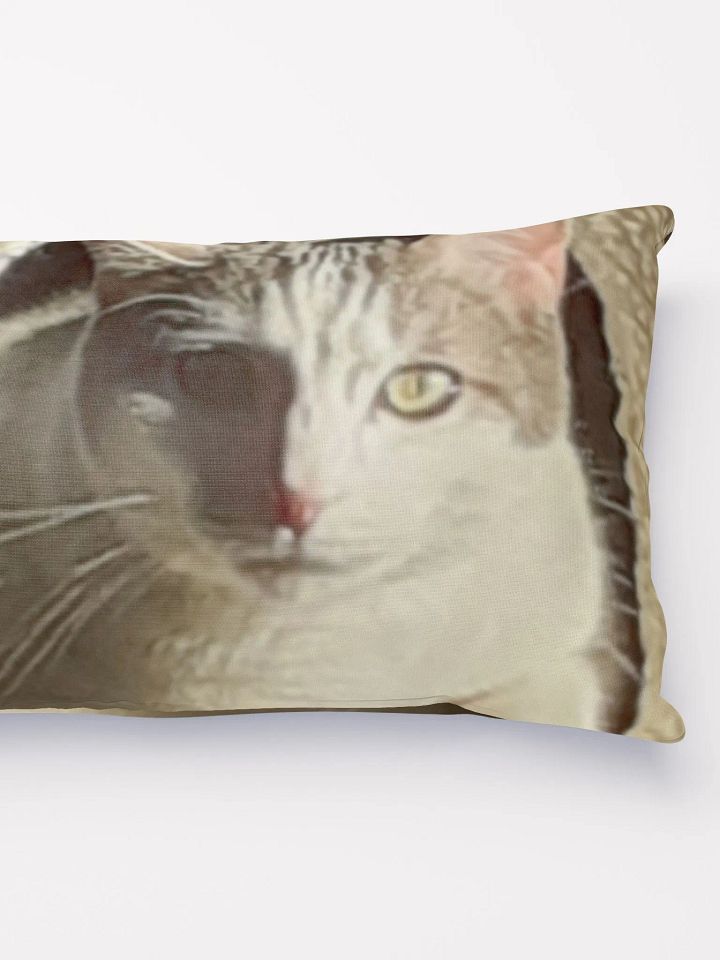 Cat Sunning product image (6)