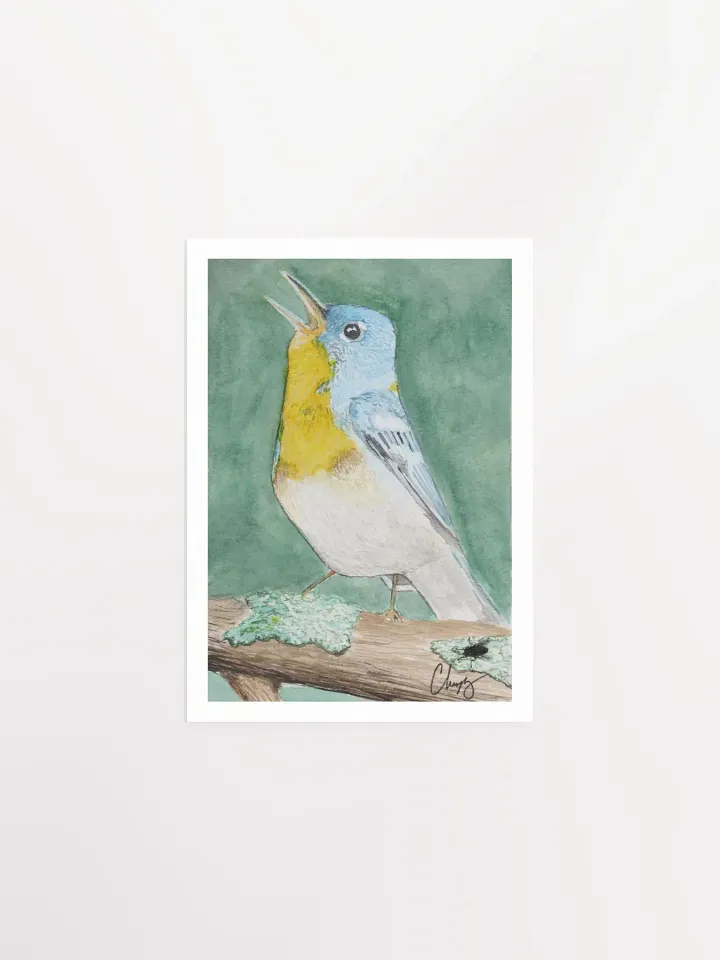 Northern Parula Warbler Print product image (1)