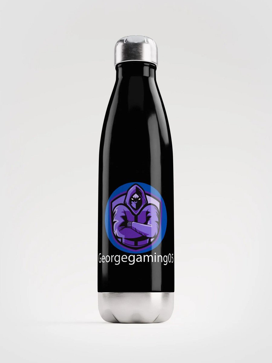 Stainless Steel Water Bottle product image (1)