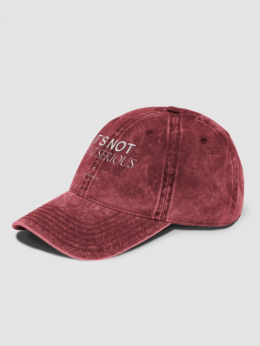 It's Not That Serious Dad Cap product image (9)