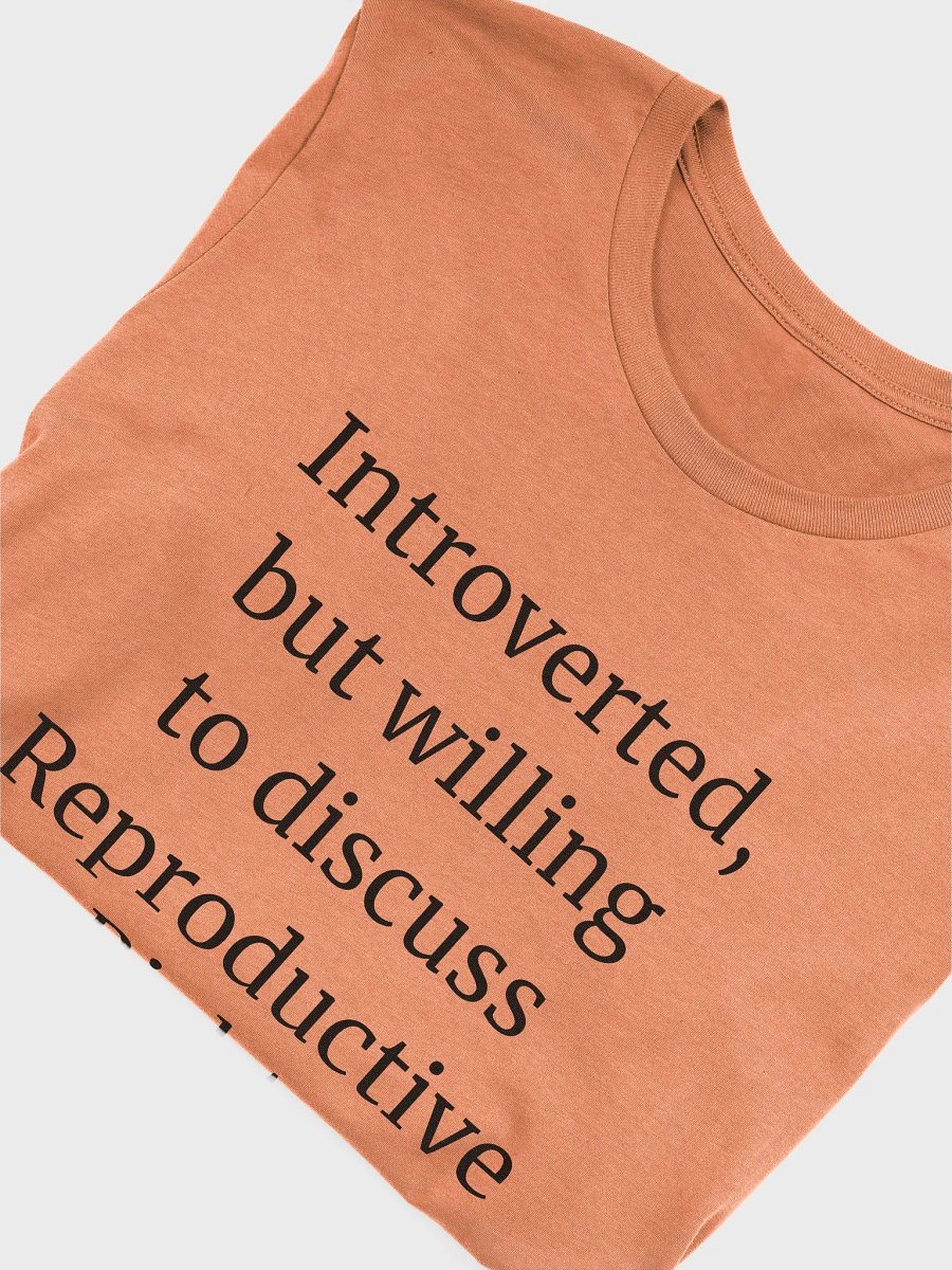 T-Shirt: Reproductive Rights product image (4)