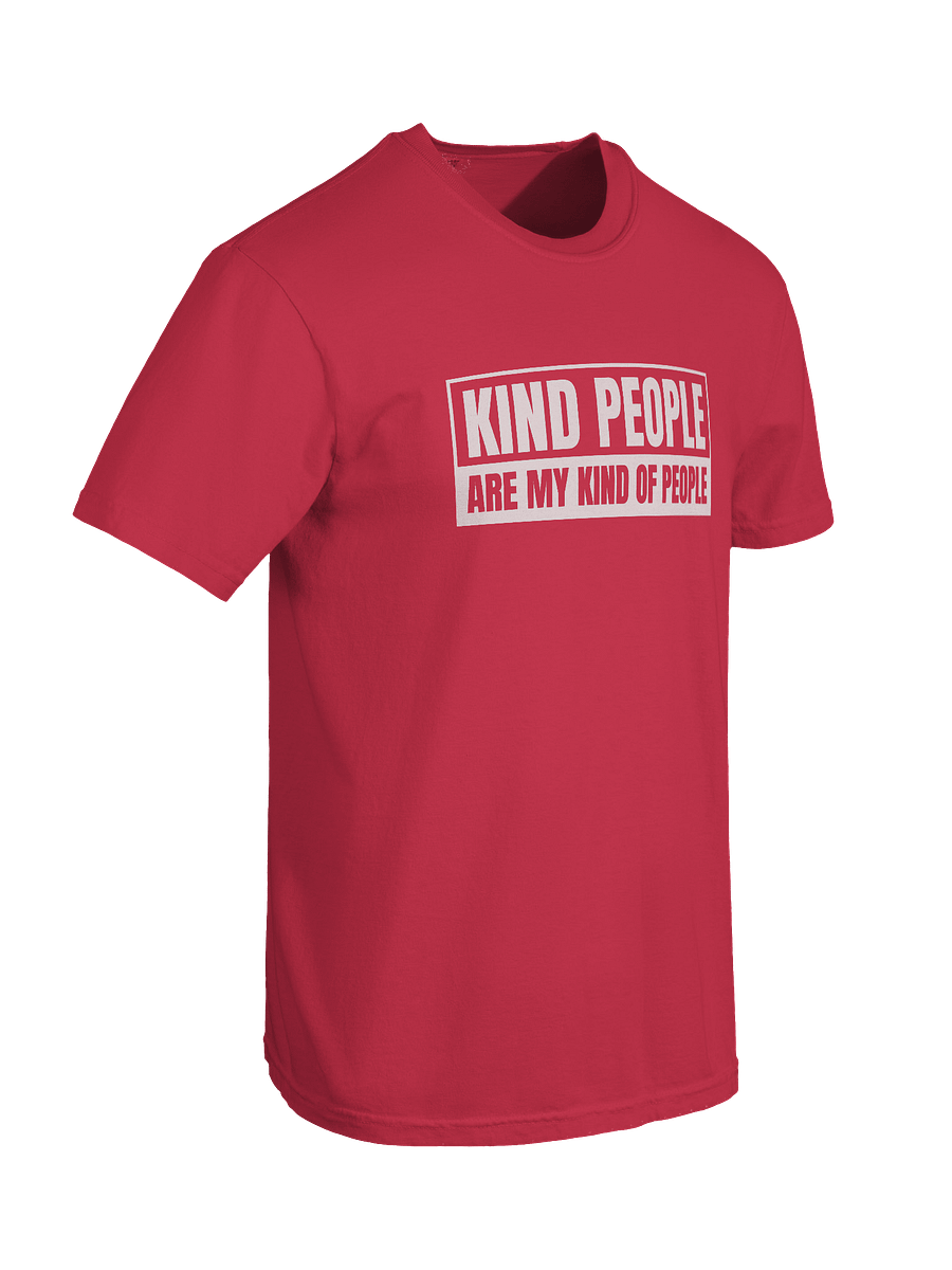 Fruit of the Spirit - Kindness T-Shirt (Heavyweight) product image (18)