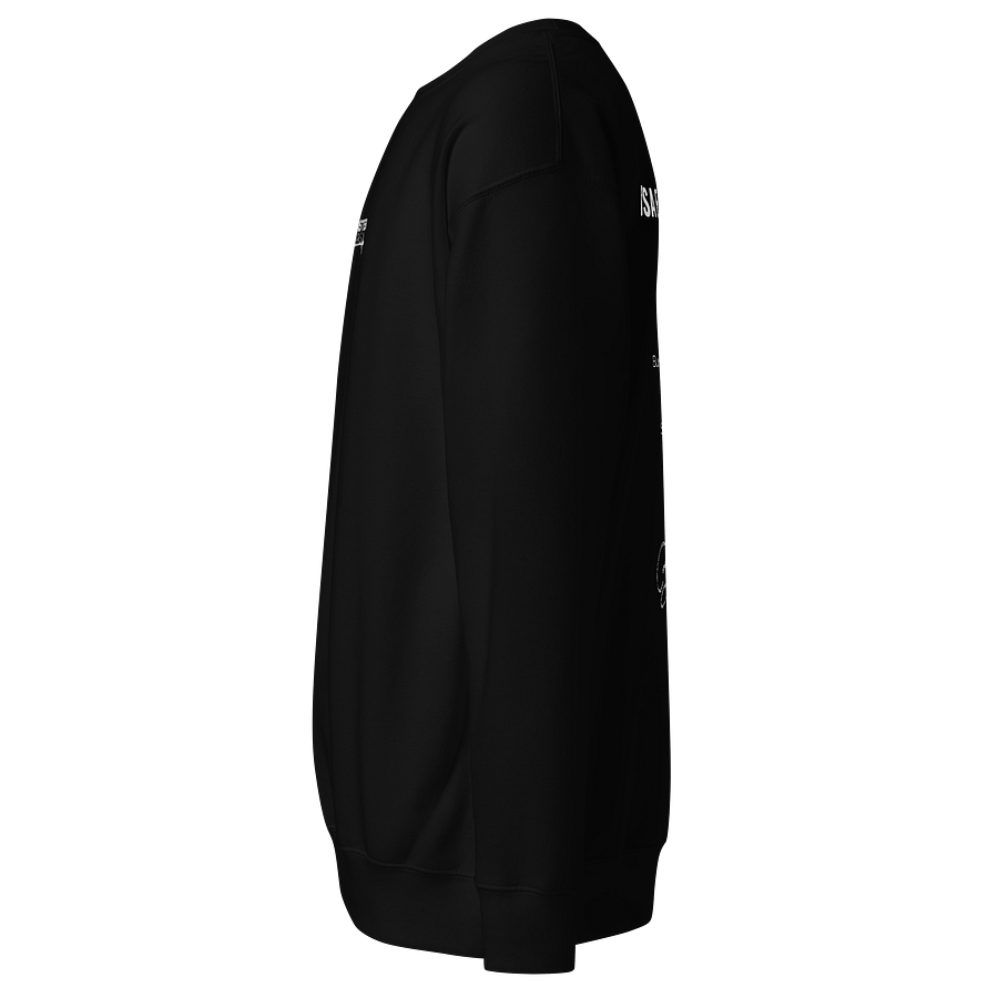 USA East Coast Tour Full Logo Sweatshirt - Dark Colours product image (7)
