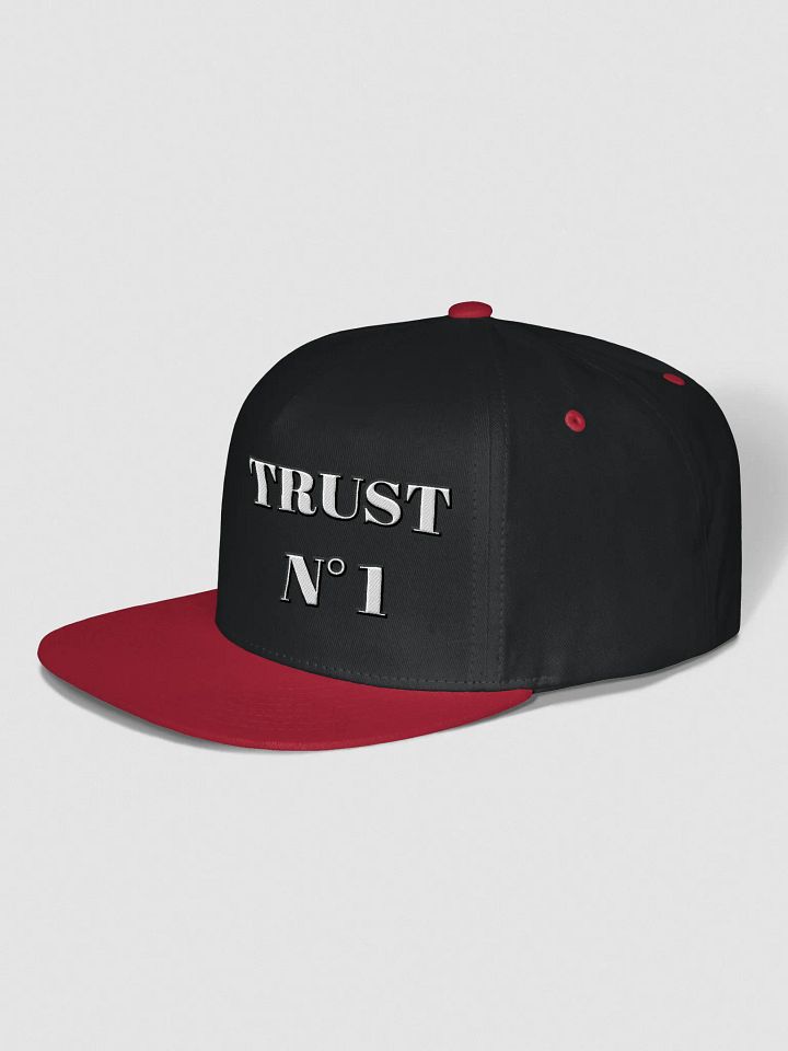 Trust SnapBack product image (25)
